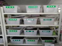 樱花种子_价格_图片_种植方法_育苗技术