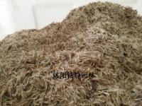 梓树种子_价格_图片_种植方法_育苗技术