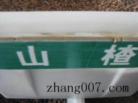 山楂种子_价格_图片_种植方法_育苗技术